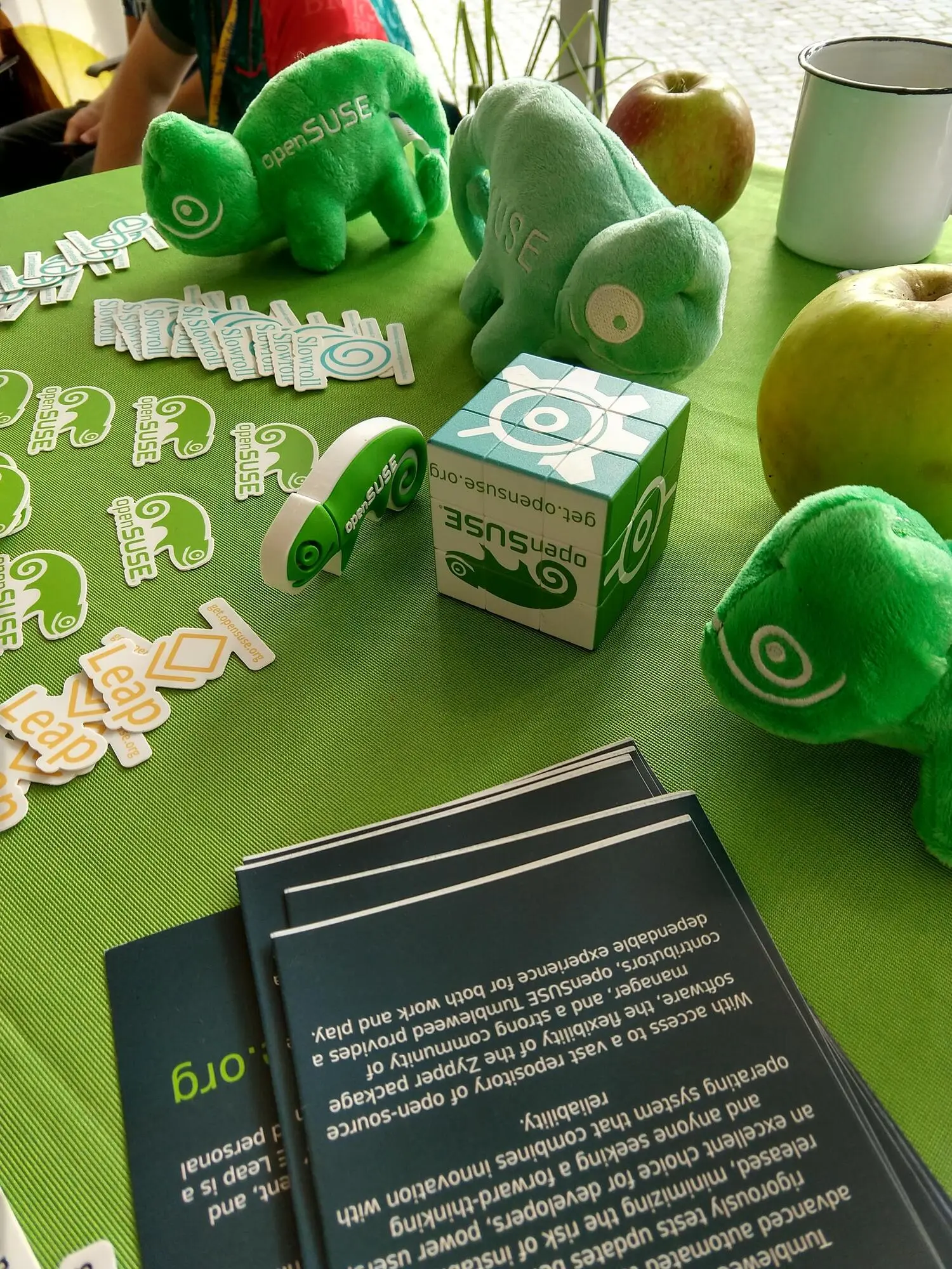 Bei openSUSE konnte man viele tolle Chamäleons sehen und vielleicht auch ergattern … (Foto: CC-By-SA Maren Hachmann) Bei openSUSE konnte man viele tolle Chamäleons sehen und vielleicht auch ergattern … (Foto: CC-By-SA Maren Hachmann)