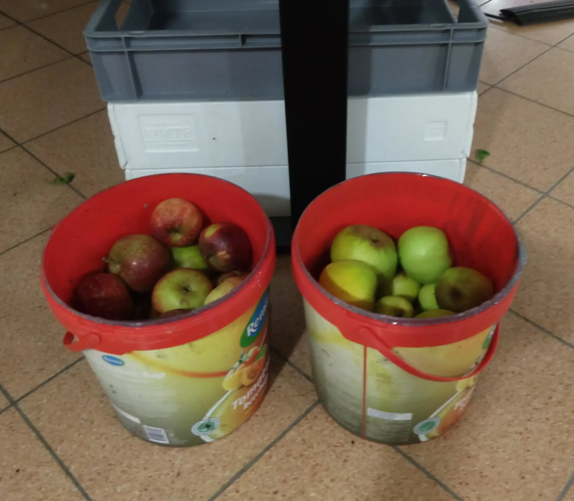 Für das Obst wurde von Seiten einer großzügigen Kielux-Besucherin gesorgt. (Foto: CC-By-SA Maren Hachmann) Für das Obst wurde von Seiten einer großzügigen Kielux-Besucherin gesorgt. (Foto: CC-By-SA Maren Hachmann)