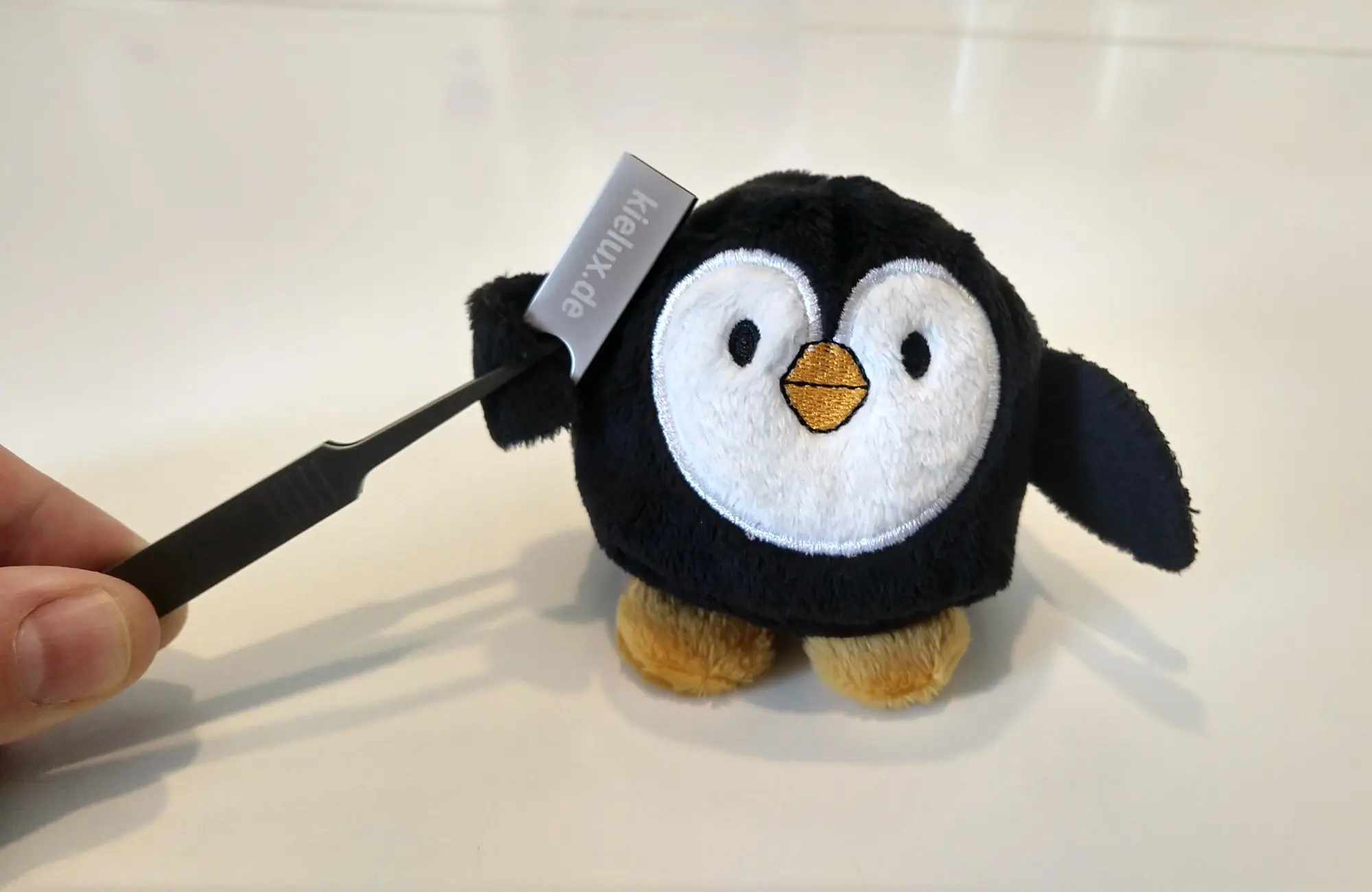 Unsere Reisebloggerin Pinga posierte für ein Werbefoto für die USB-Stick-Aktion. (Foto: CC-By-SA Maren Hachmann) Unsere Reisebloggerin Pinga posierte für ein Werbefoto für die USB-Stick-Aktion. (Foto: CC-By-SA Maren Hachmann)